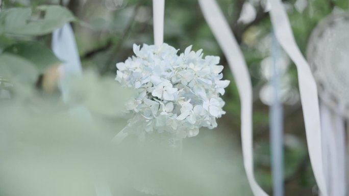 唯美小清新自然鲜花玻璃瓶装饰空镜头