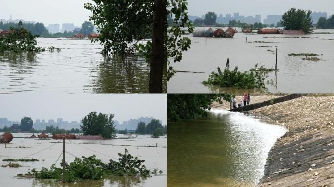 长江洪水泛滥 洪灾洪涝 水灾