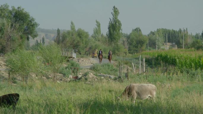 新疆莫乎尔牧场牧民安居房