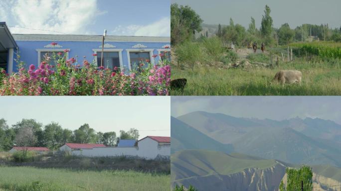 新疆莫乎尔牧场牧民安居房
