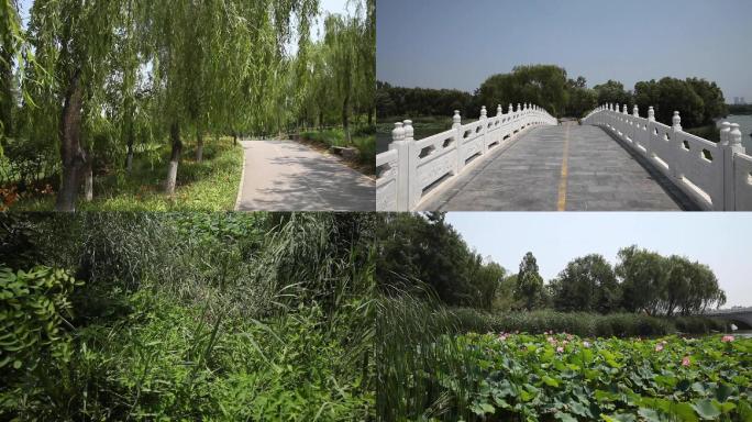 北京南海子湿地公园