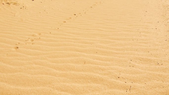 沙漠沙滩沙子脚印近景特写海边