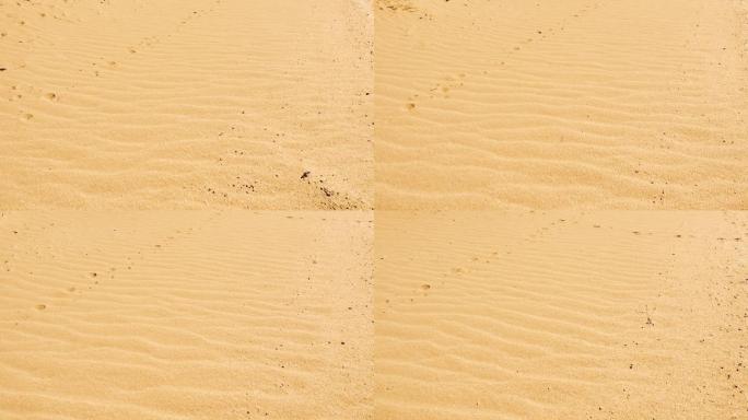 沙漠沙滩沙子脚印近景特写海边