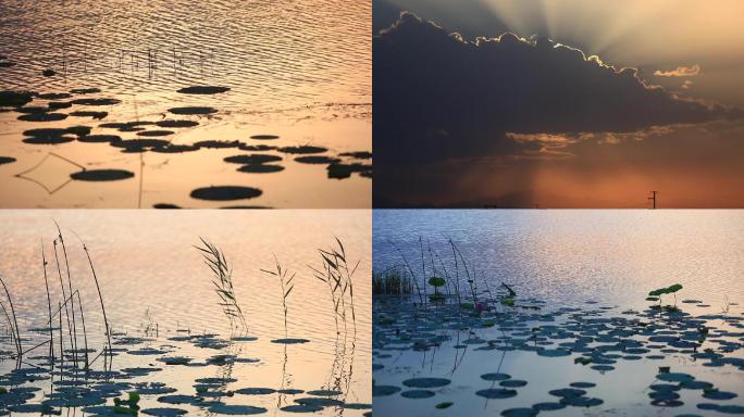 水面湖湎天空合集-夕阳湖面波光与荷叶