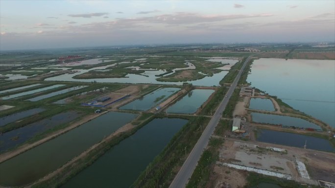 阅海公园航拍湖泊湿地道路阅海湖城市发展