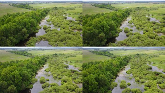 4K河流沼泽湿地公园生态航拍大美中国航拍
