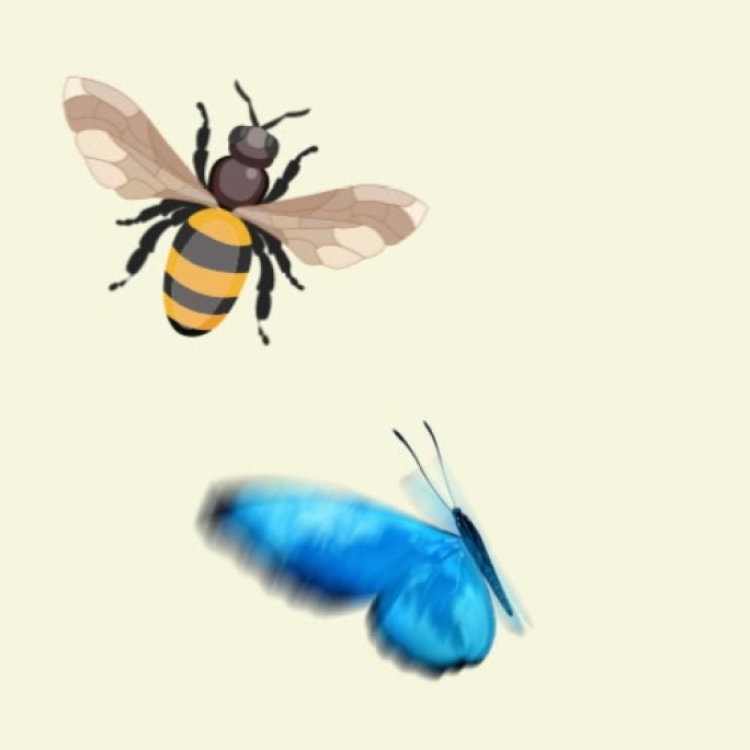 蜜蜂蝴蝶AE工程（含带通道视频）