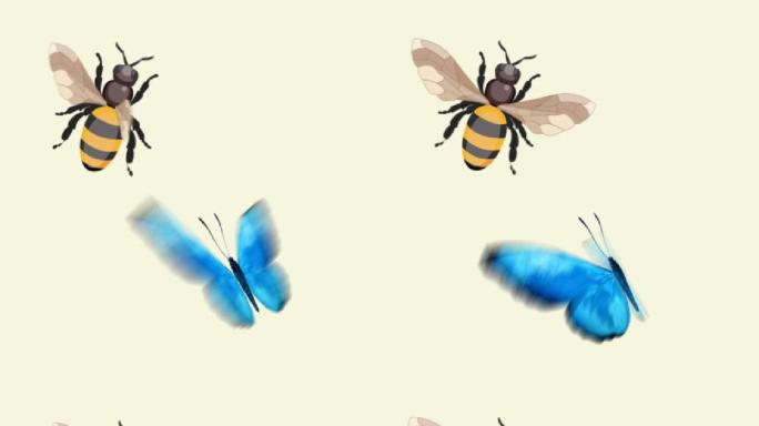 蜜蜂蝴蝶AE工程（含带通道视频）