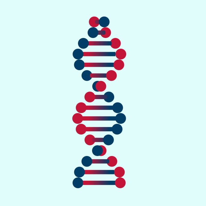 DNA基因链【带通道】