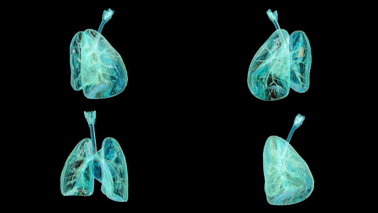 肺肺部、科技、医疗、三维、器官全息3D