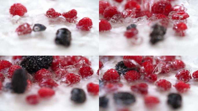 树莓桑葚清洗水珠水滴有机水果