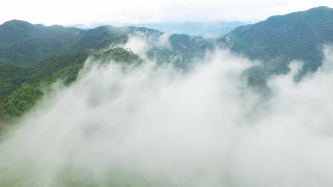 航拍肇庆鼎湖山穿云风光