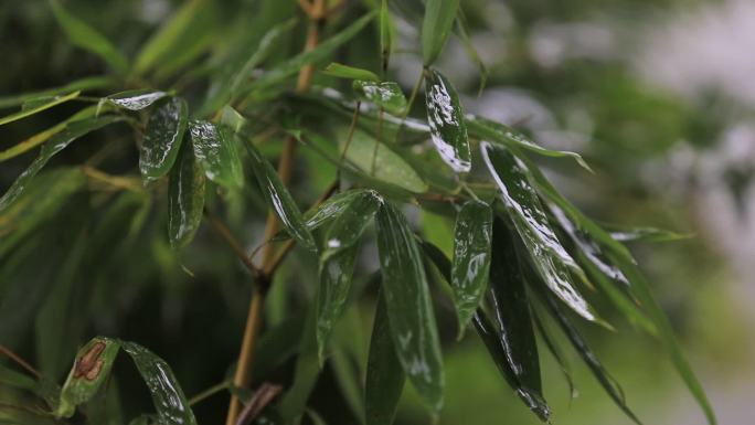 雨天空镜实拍