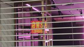 破产视频素材下载 破产ae模板下载 Vj师网
