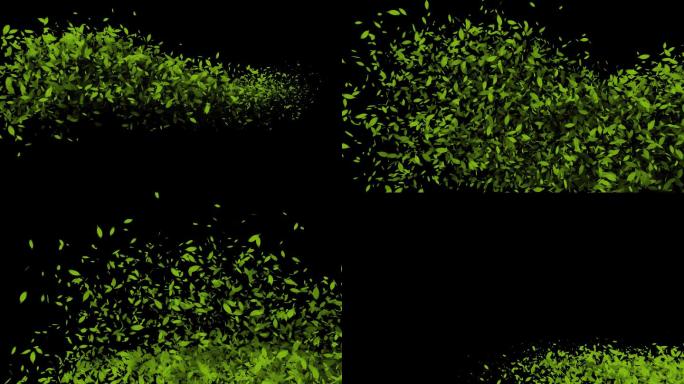 4K透明通道树叶转场视频素材