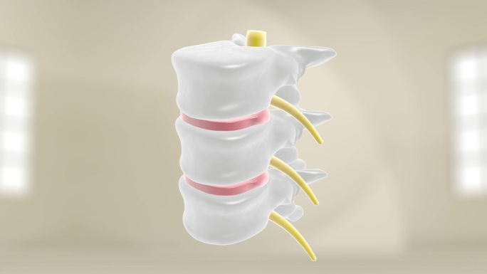压破腰椎神经机理