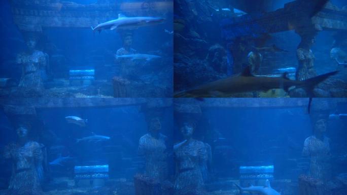4K海底秘境-城堡鲨鱼-海底宝藏财宝