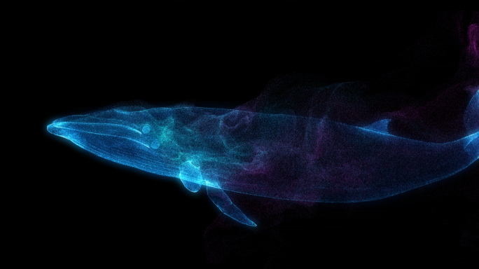 粒子鲸鱼-9