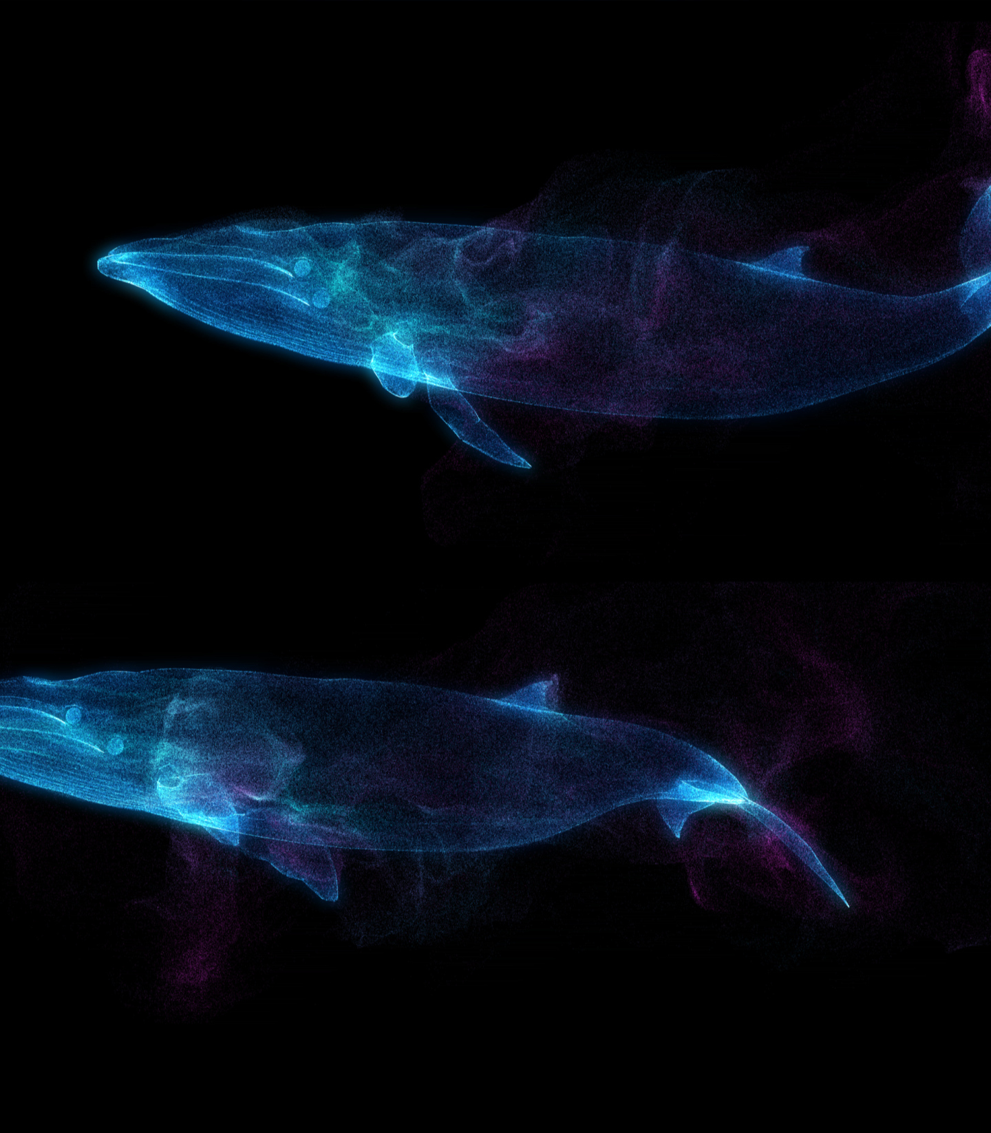 粒子鲸鱼-9
