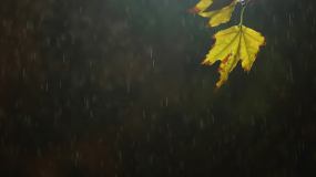夜雨视频素材下载 夜雨ae模板下载 Vj师网