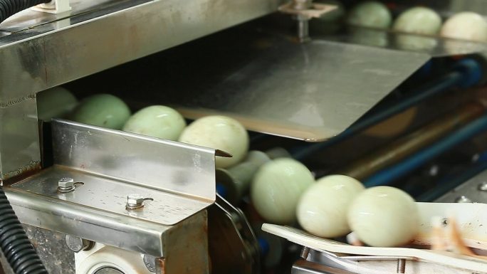 鸭蛋生产工厂咸蛋蛋黄