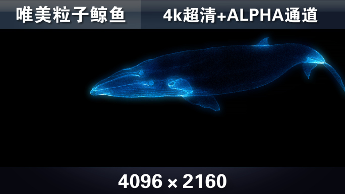 粒子鲸鱼-2