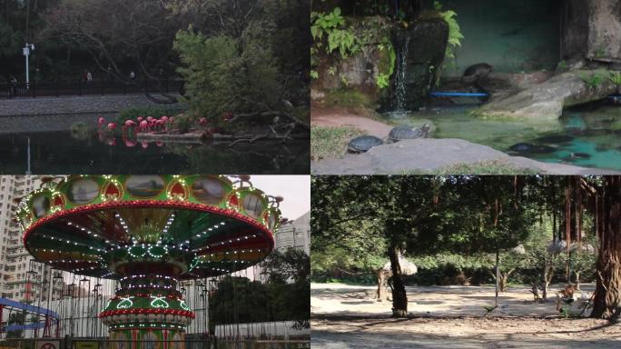 广州动物园里各种动物及各种空镜