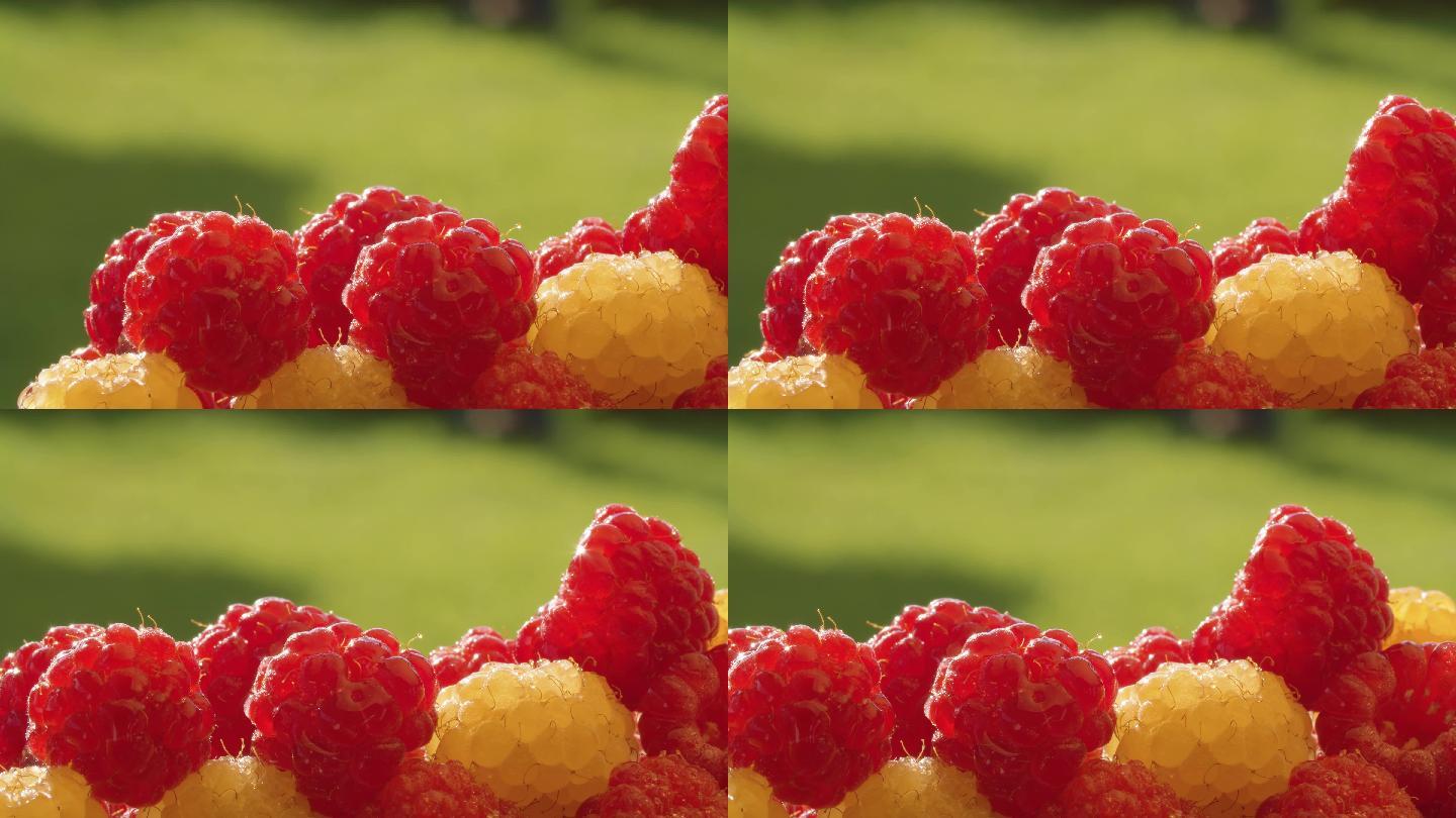 4K新鲜树莓颜色多彩有机水果