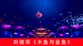 木鱼与金鱼刘德华唯美配乐成品 19x1080 高清视频素材下载 编号 舞台背景 Vj师网www Vjshi Com