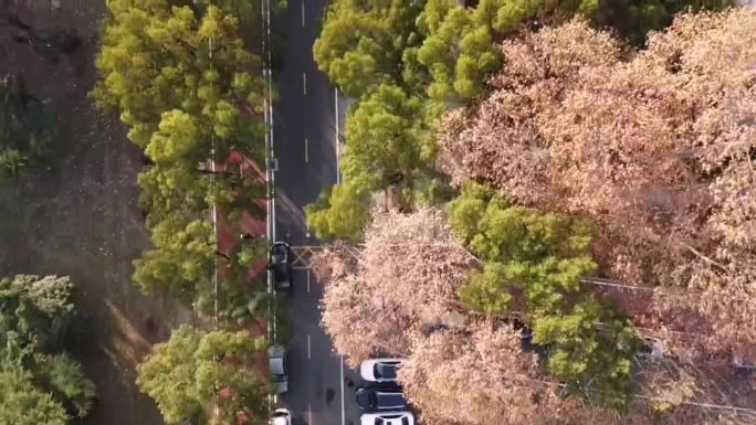 武汉华中师范大学