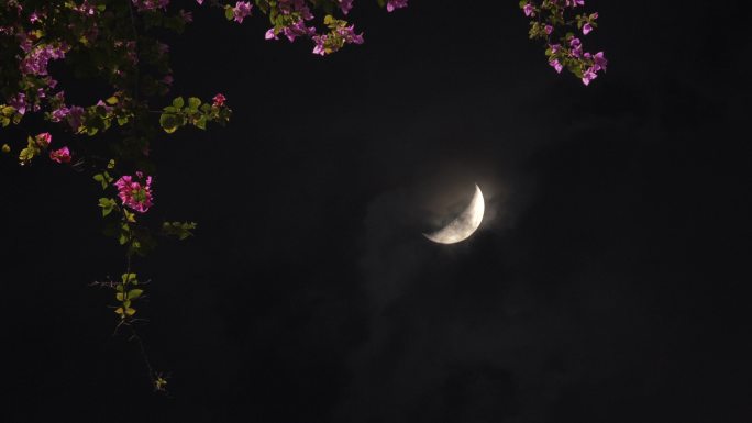 月亮-上玄月-5#