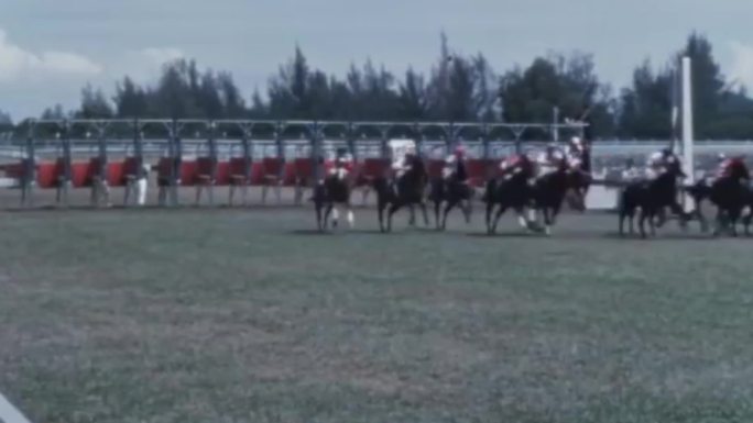 60年代新加坡赛马场马会跑马场比赛
