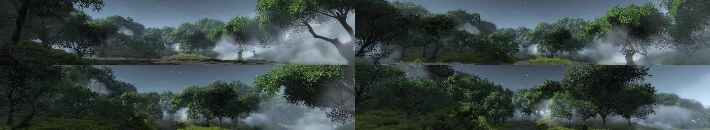 【8K】超宽屏—雾里林中