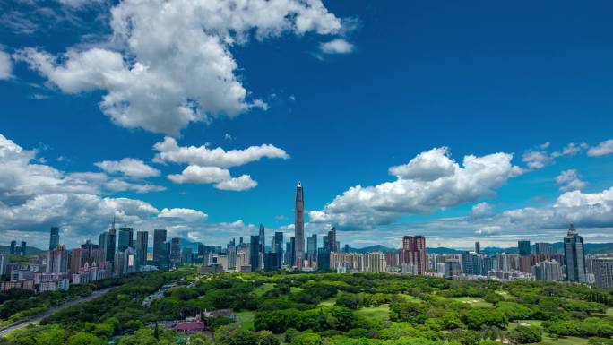 【正版素材】深圳大气全景贰