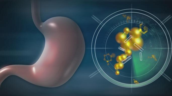 多种营养素在胃部生成保护膜加速溃疡愈合