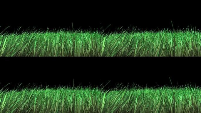 狂风吹草坪-无缝循环带透明通道