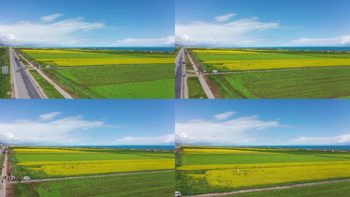 青海夏季风光航拍4K视频