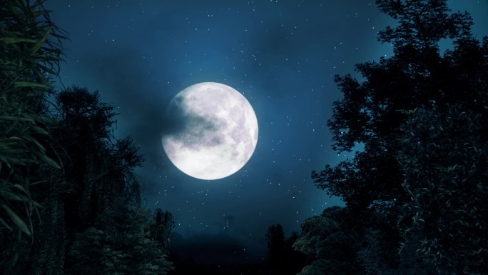 夜晚月光月亮延时