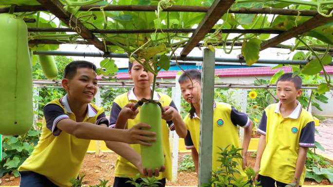 学校菜园学生实习基地学生班级果园