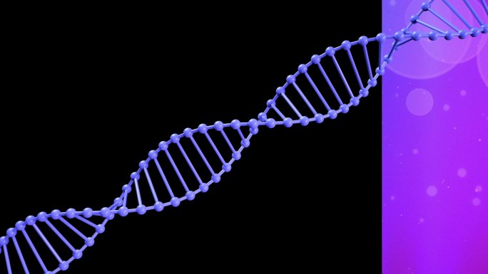 DNA双螺旋链条（带通道可换背景）