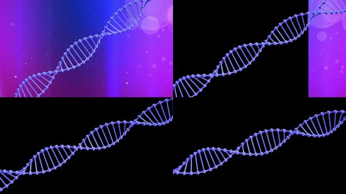 DNA双螺旋链条（带通道可换背景）