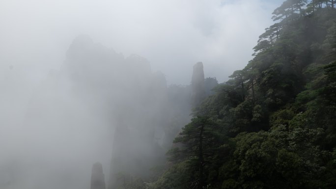 三清山松石和云雾