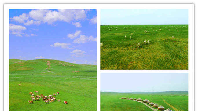 航拍蒙古包、牛群、羊群高清60P