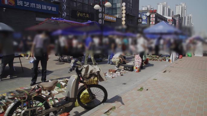 【原创】集市卖绿植