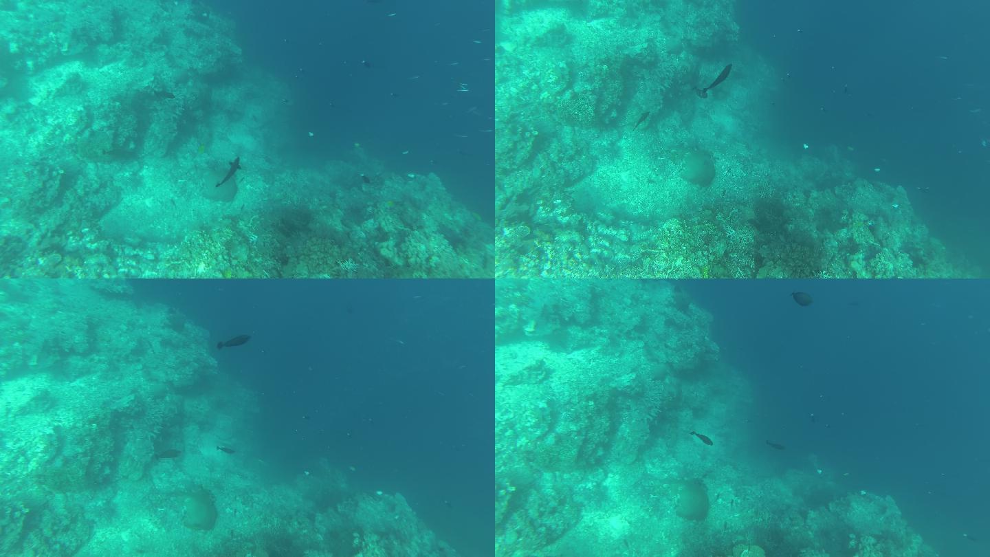 诗巴丹潜水——俯视深渊