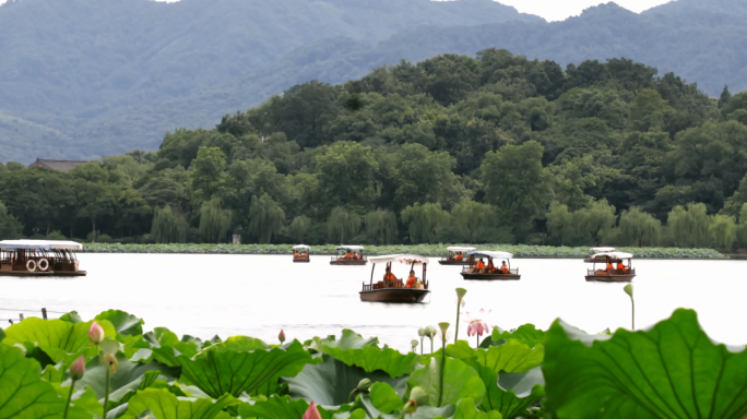 西湖美景