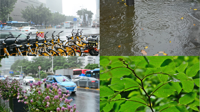 雨中的城市车流一瞥