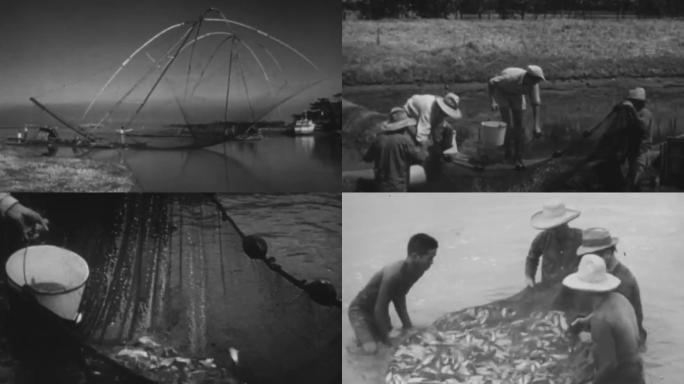 50年代渔民捕鱼渔网撒网拱兜网渔获水产品