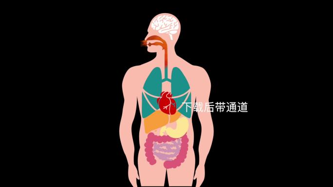 呼吸火灾浓烟肺部烧伤