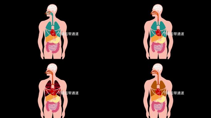 呼吸火灾浓烟肺部烧伤